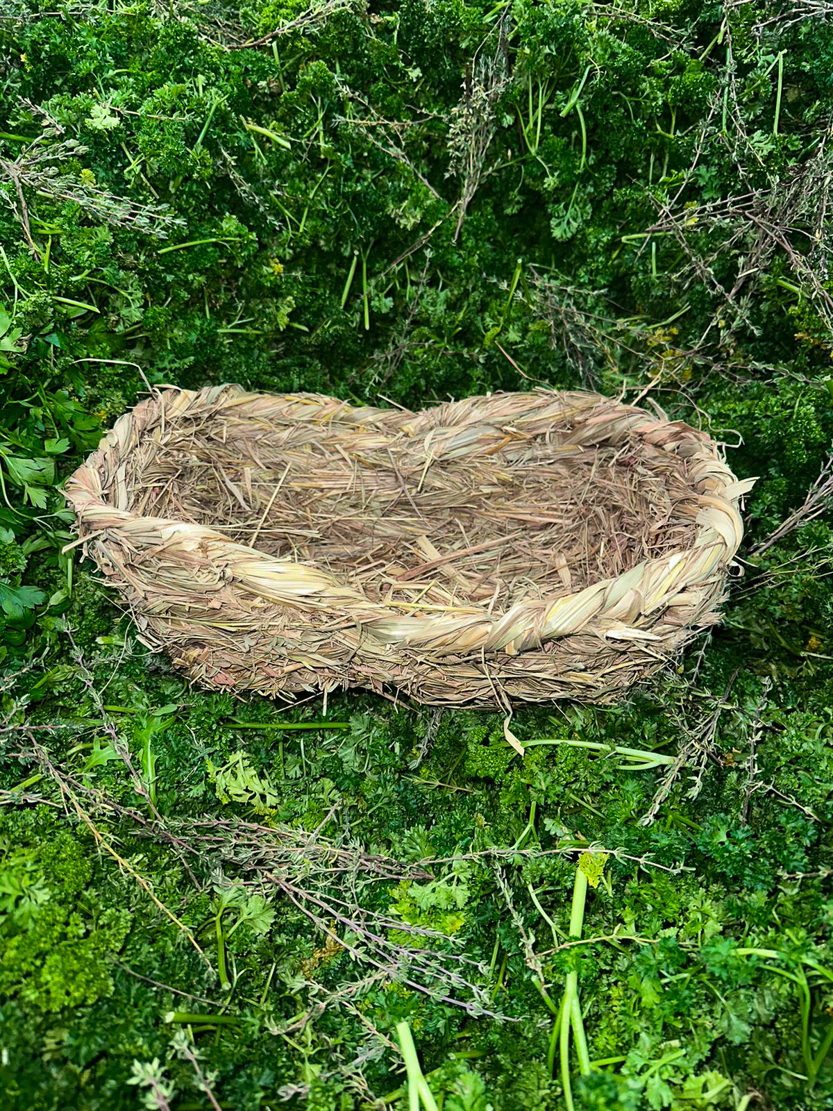 Vorschaubild 1