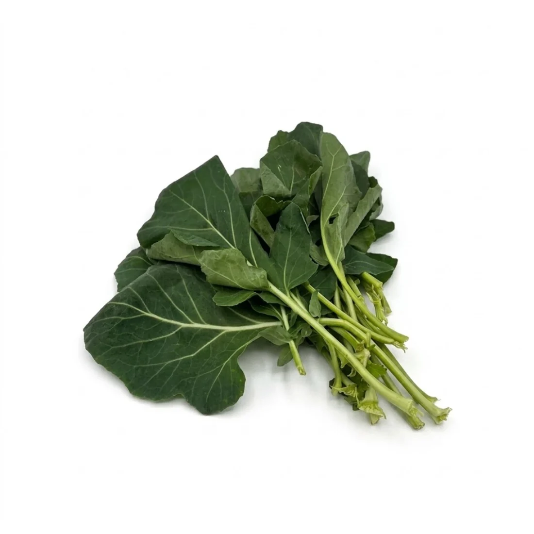 Kohlrabiblätter 500gr - Image 3