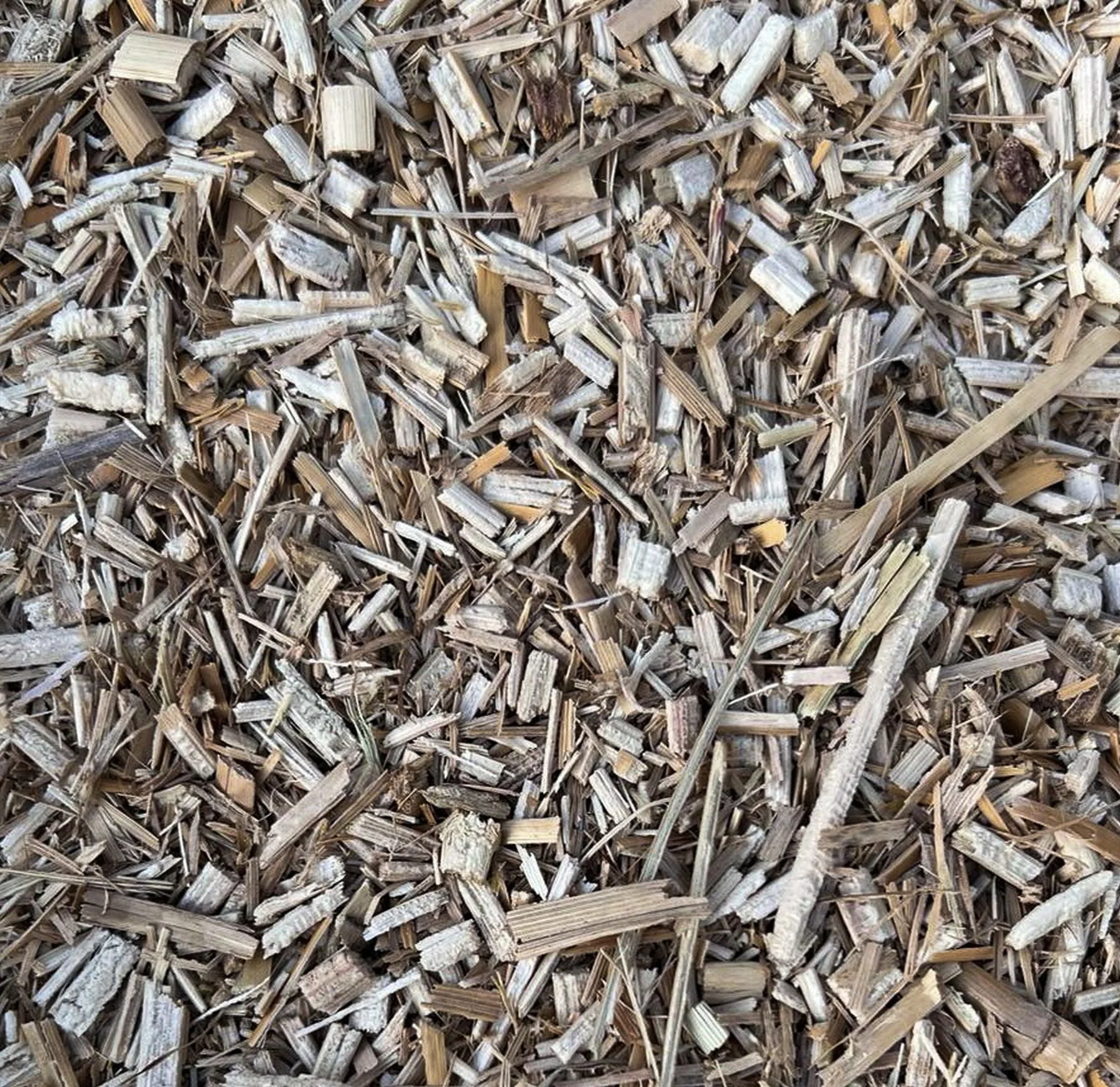 Miscanthus Einstreu